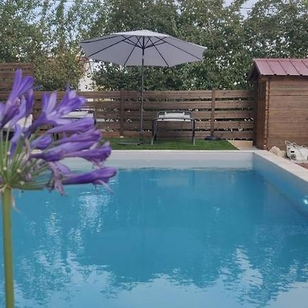Domaine De La Vigne Bed & Breakfast Cadalen Ngoại thất bức ảnh
