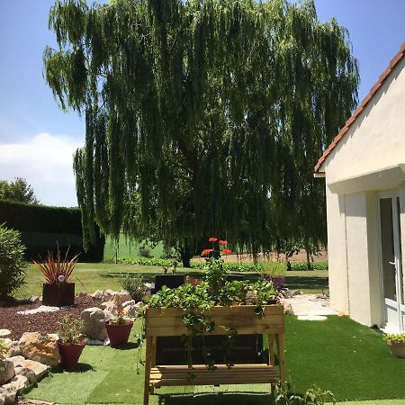 Domaine De La Vigne Bed & Breakfast Cadalen Ngoại thất bức ảnh