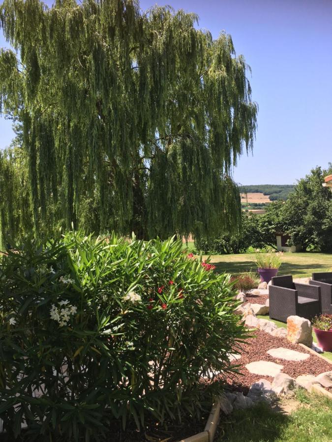 Domaine De La Vigne Bed & Breakfast Cadalen Ngoại thất bức ảnh